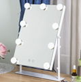 Modern LED Illuminated Decorative Hotel Wall Hollywood Style Mirror 2