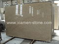 Granite Slab/Granite/Slab 1