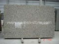 Granite Slab/Granite/Slab