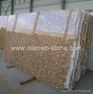 Granite Slab/Granite/Slab 4