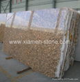 Granite Slab/Granite/Slab