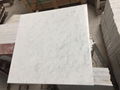 Bianco carrara/Carrara/white marble/calcatta marble/marble