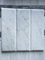 Bianco carrara/Carrara/white marble/calcatta marble/marble