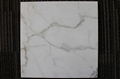 Calacatta gold/Marble tile/Bianca carrara/carrara/white/white marble/white stone 1