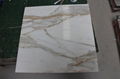 Calacatta gold/Marble tile/Bianca carrara/carrara/white/white marble/white stone 2