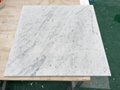 Bianco carrara/Carrara/white marble/calcatta marble/marble