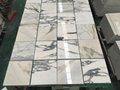 Arabescato/Tile/Marble tile/white/white
