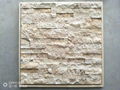 Travetine cladding stone/wall stone/culture stone/cladding stone