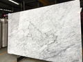 Bianco carrara/Marble slab/Marble/white marble/white stone