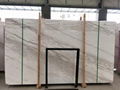 Valakas White//Marble slab/Marble/white marble/white stone 2