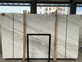 Valakas White//Marble slab/Marble/white marble/white stone 3