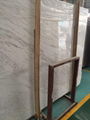 Valakas White//Marble slab/Marble/white marble/white stone 4