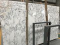 Arabescato/Marble slab/Marble/white marble/white stone