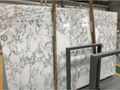 Arabescato/Marble slab/Marble/white marble/white stone