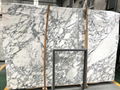 Arabescato/Marble slab/Marble/white marble/white stone