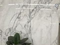 Statuario/Marble slab/Marble/white marble/white stone