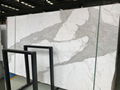 Calacatta/Marble slab/Marble/white marble/white stone