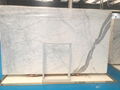 Calacatta/Marble slab/Marble/white marble/white stone