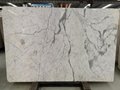 Calacatta/Marble slab/Marble/white marble/white stone