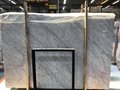 Venato Carrara/Marble slab/Marble/white marble/white stone
