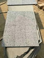 Lave stone/pavement/pool/black stone