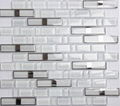 Mosaic/glass mosaic/glass/