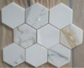 Marble mosaic/Bianco Carrara white/Mosaic/water jet