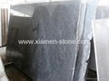 Granite Slab/Granite/Slab 3