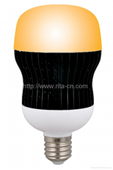 LED Bulb