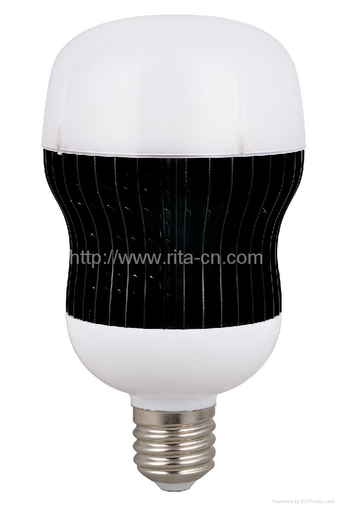  LED Bulb  2