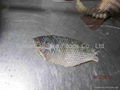 black tilapia fillet 2