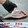 black tilapia g/s ggs 1