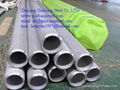 TP904L UNS N08904 STAINLESS STEEL SEAMLESS TUBE/PIPE 1