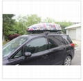 Colorful and Accept Own Design Roof Box