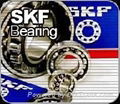 Power plant special bearings