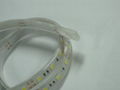 LED Rope Light  warm white cool white 24v 5050 smd led streifen 