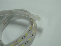 LED Rope Light  warm white cool white 24v 5050 smd led streifen