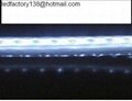 Waterproof LED SMD Flexible Strip (5050)