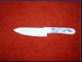 Ceramic kitchen knife paring knife