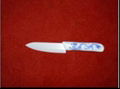Ceramic kitchen knife paring knife