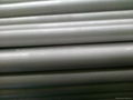 TP316L seamless stainless steel pipes/tubes