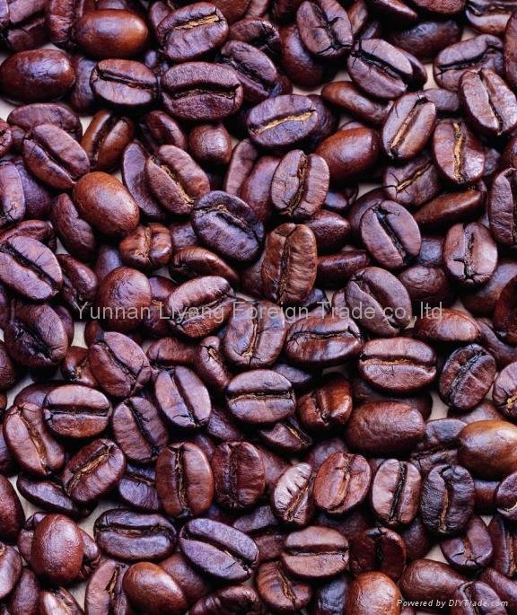 coffee beans, arabica coffee beans from yunnan china, manufacturer supply