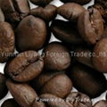 arabica coffee beans from yunnan china