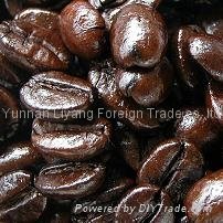 manufacturer supply of arabica roasted coffee beans