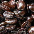 manufacturer supply of arabica roasted