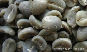arabica green coffee bean AA grade from yunnan china