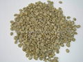 arabica green coffee beans A grade manufacturer supply 1