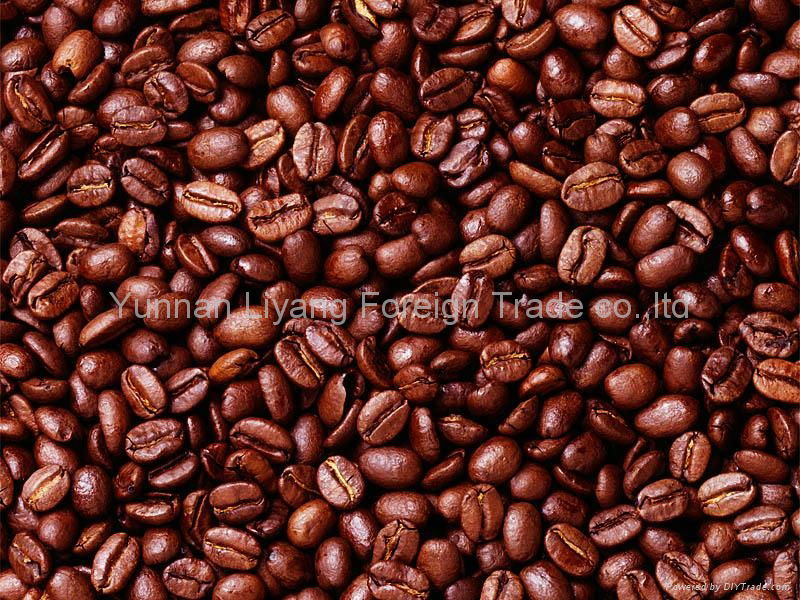 arabica coffee beans manufacturer oem and private lable service we can offer