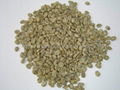 yunnan xiaoli coffee from yunnan arabica coffee beans manufacturer supply 1