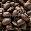 Arabica coffee beans 1